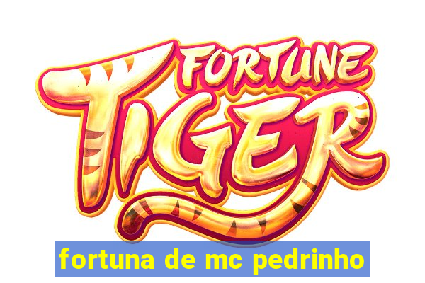 fortuna de mc pedrinho